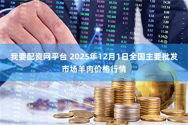 我要配资网平台 2025年12月1日全国主要批发市场羊肉价格行情
